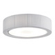 Urban Ceiling Light