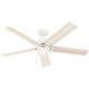 Erling Ceiling Fan with Light