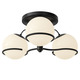 Model 2042 Ceiling Light