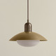 Brass Arundel Mushroom Outdoor Pendant