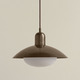 Brass Arundel Mushroom Outdoor Pendant