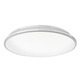 Brook Ceiling Light