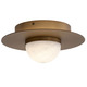 Landed Wall/ Ceiling Light