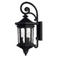 Raley Scroll Outdoor Wall Light