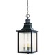 Monte Grande Outdoor Pendant