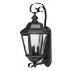 Edgewater 120V Outdoor Wall Lantern