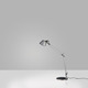 Tolomeo Mini Desk Lamp