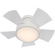 Vox Flush Smart Ceiling Fan with Light