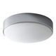 Journey 14 Inch Wall / Ceiling Light