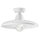 B&W C2333 Ceiling Light Fixture