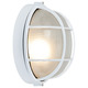 Nauticus Round Outdoor Bulkhead Wall / Ceiling Light