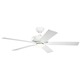 Basics Pro Designer Ceiling Fan with Light