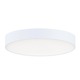 Trim Round 120V Ceiling Light