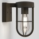 Cabin Outdoor Wall Sconce