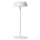 Float Indoor / Outdoor Table Lamp