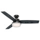 Sentinel Ceiling Fan with Light