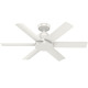 Kennicott Outdoor Ceiling Fan