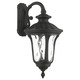 Oxford Outdoor Downward Wall Sconce